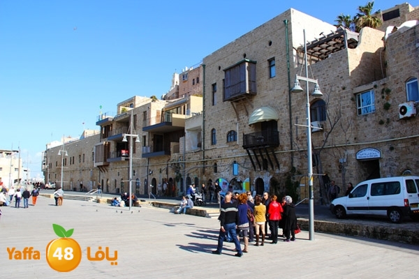 mina2 yaffaj343 (2).JPG